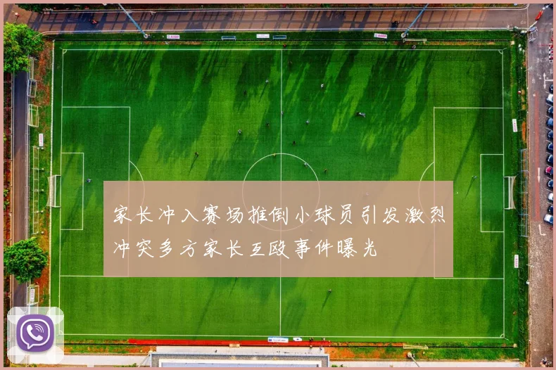 家长冲入赛场推倒小球员引发激烈冲突多方家长互殴事件曝光