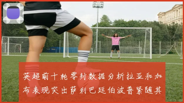 英超前十轮零封数据分析拉亚和加布表现突出萨利巴廷伯波普紧随其后
