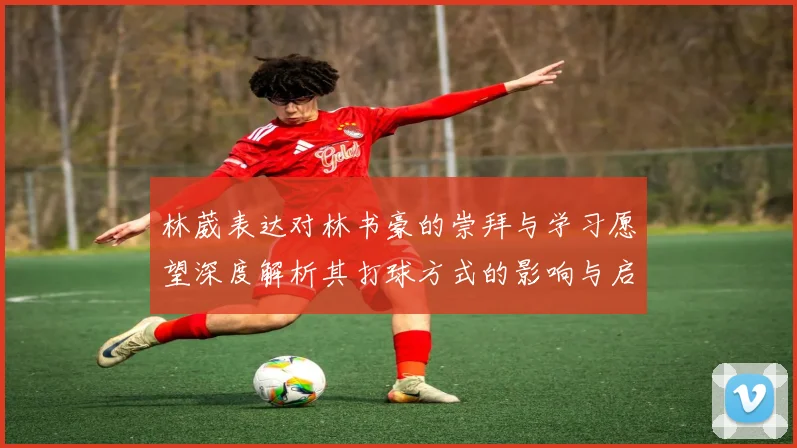 林葳表达对林书豪的崇拜与学习愿望深度解析其打球方式的影响与启发