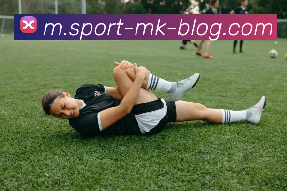 MK体育APP 高清赛事图