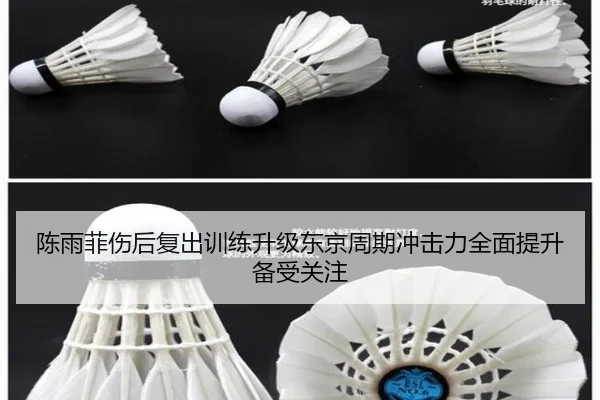 陈雨菲伤后复出训练升级东京周期冲击力全面提升备受关注